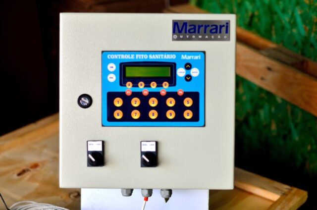 Phytosanitary Control KD & HT for Wood