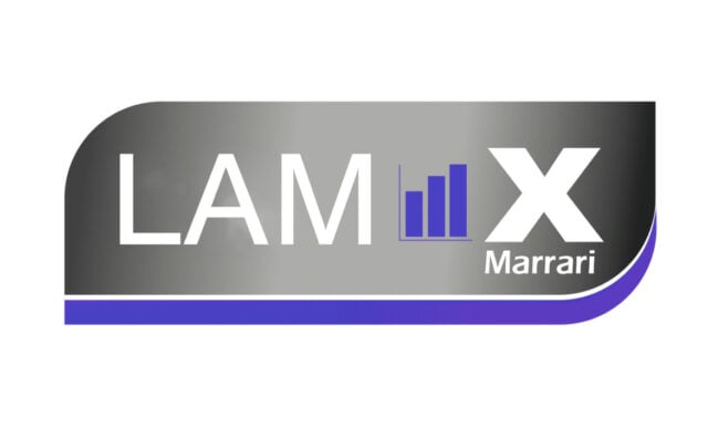Wood Pack Bundle Measurement Machine - LAM X
