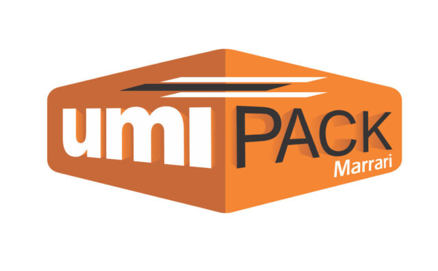 Wood Package Moisture Meter UmiPack