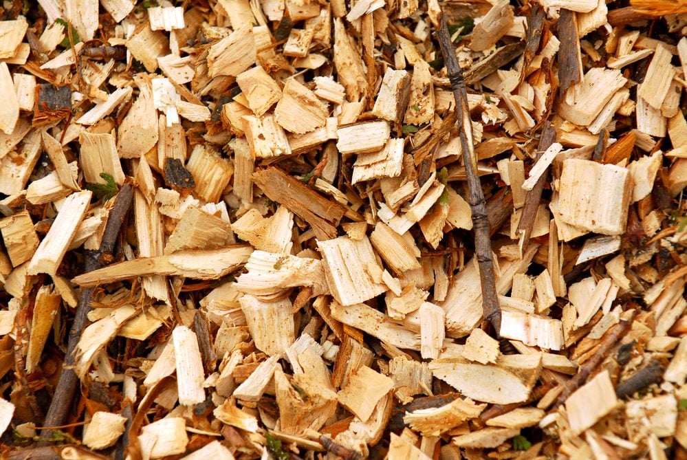 O que é biomassa?