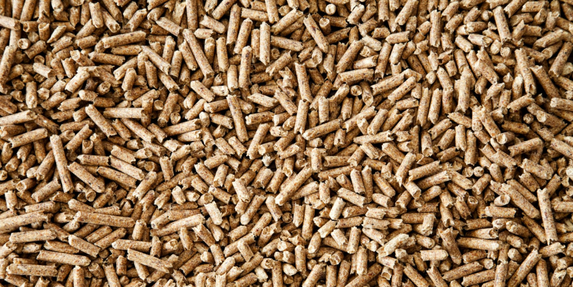 O que é biomassa?
