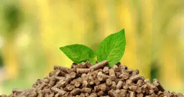 Biomassa: a energia do futuro
