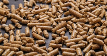Biomassa: Como medir a umidade na produção de pellets?