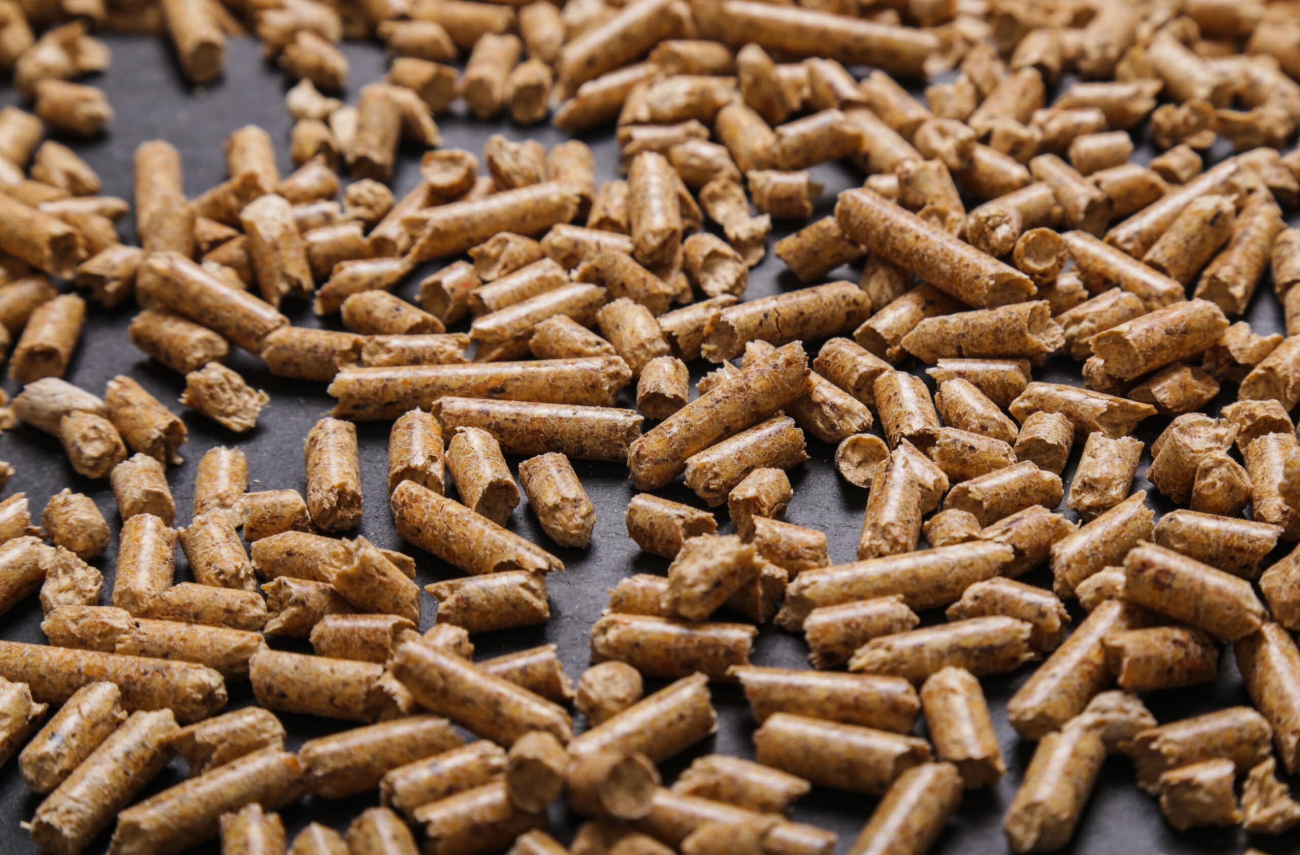 Biomassa: Como medir a umidade na produção de pellets?