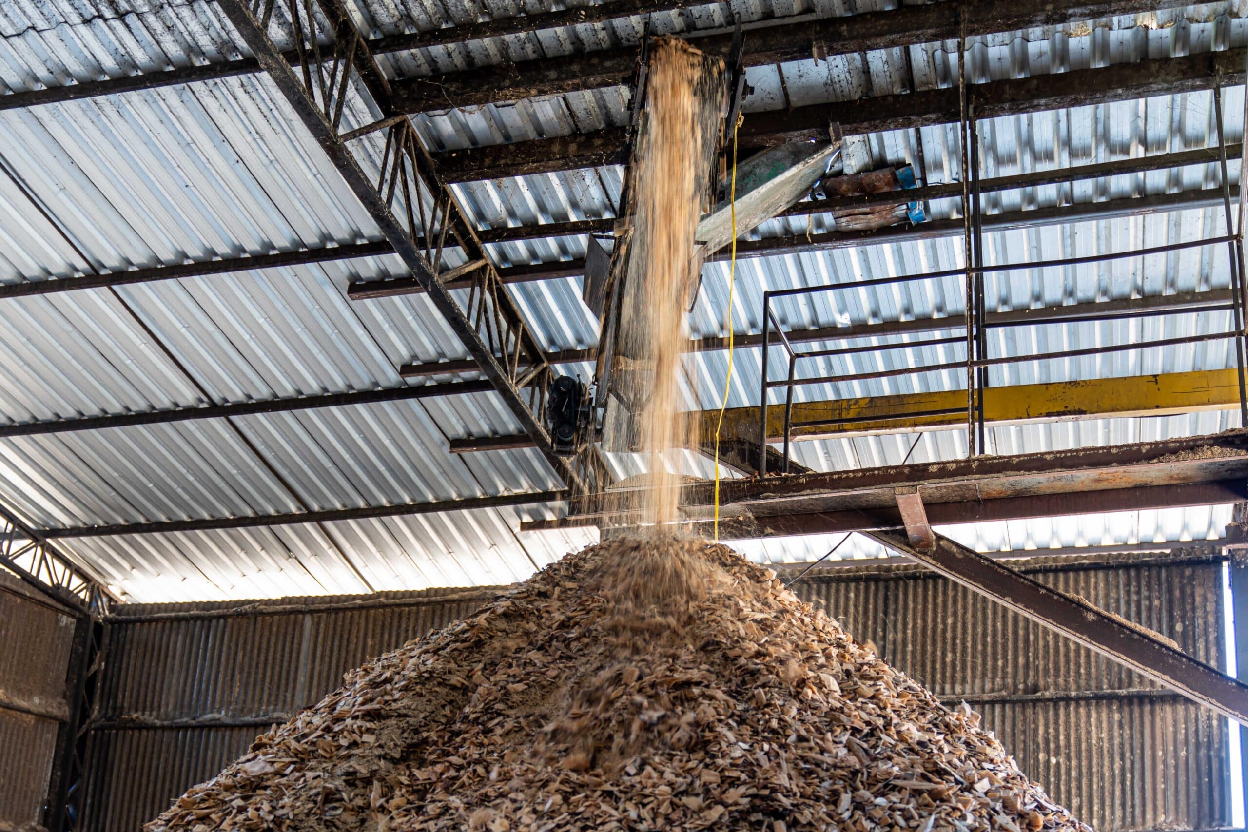 Biomassa: A importância da umidade na combustão