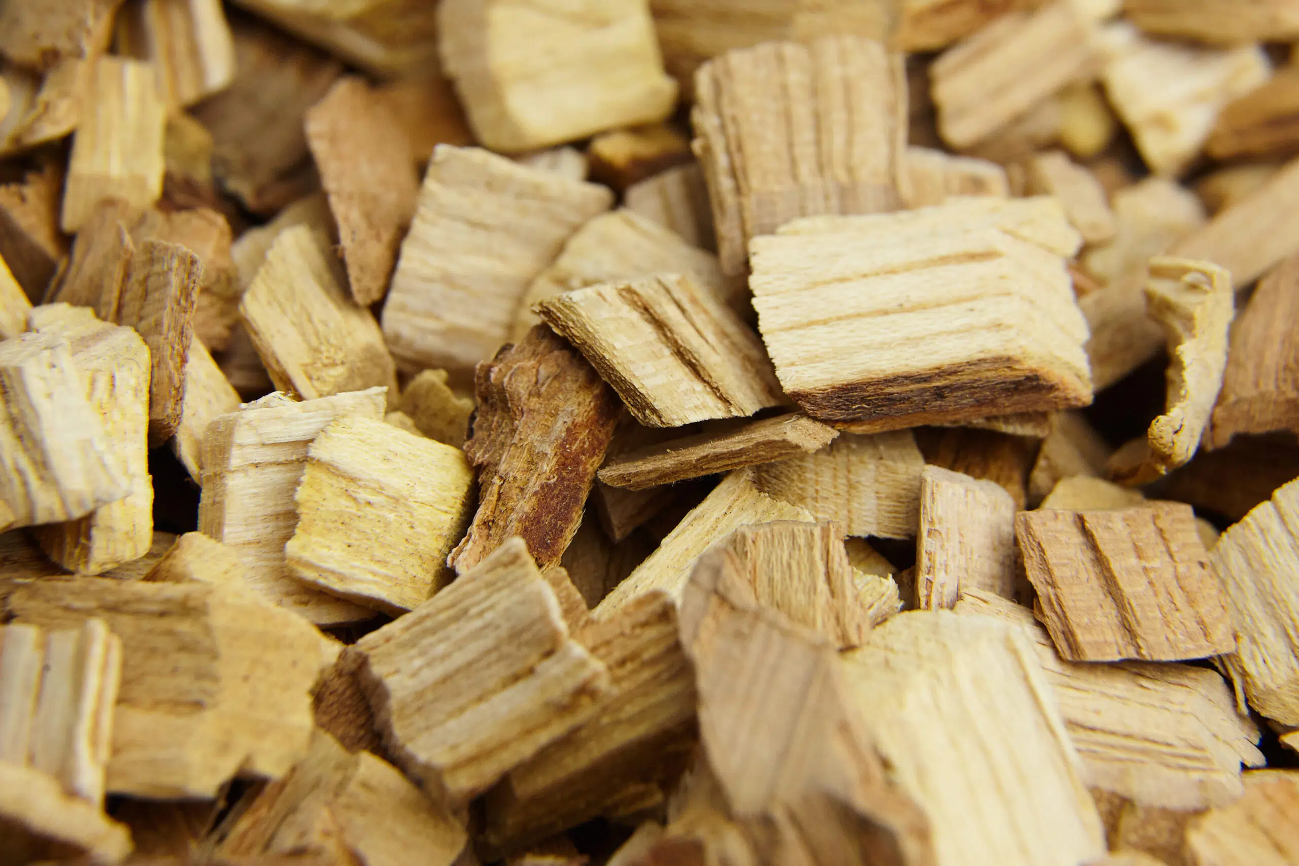Biomassa: Como e por que medir a umidade do cavaco de madeira?