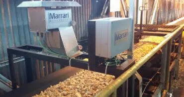 Biomassa: Sistemas de medição de biomassa e por que usa-los?