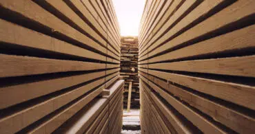 Madeira: Como saber o teor de umidade da madeira?