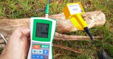 Madeira: Inovação na medição de umidade em toras