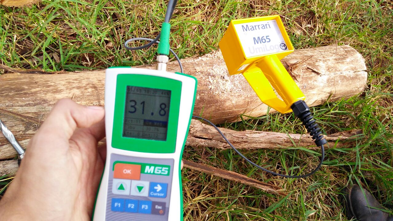 Madeira: Inovação na medição de umidade em toras