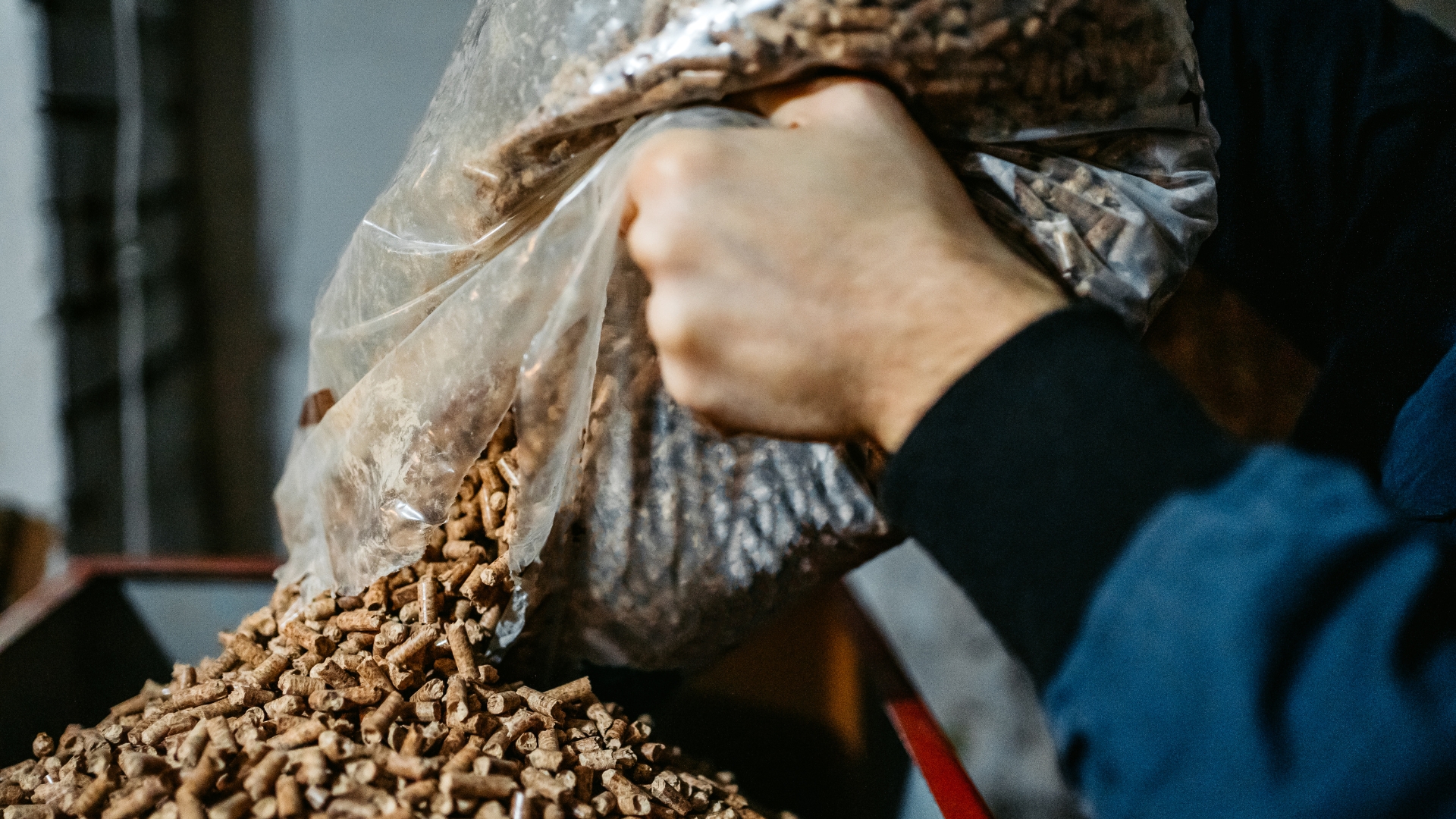 Biomassa: 10 dicas para melhorar a qualidade de pellets