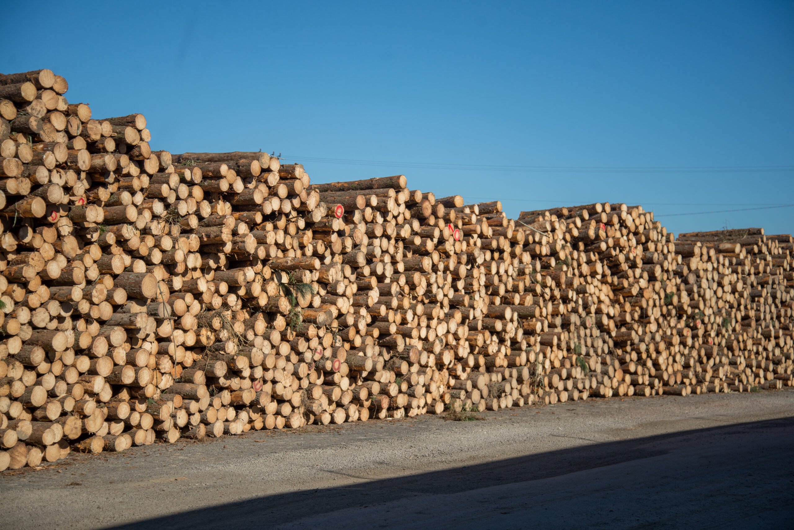 Biomassa: Medidores de umidade de cavaco e lenha