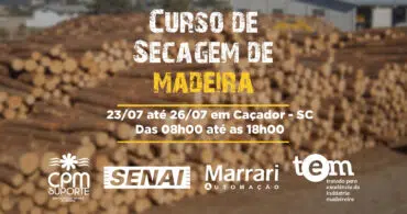Curso de Secagem de Madeira 2024