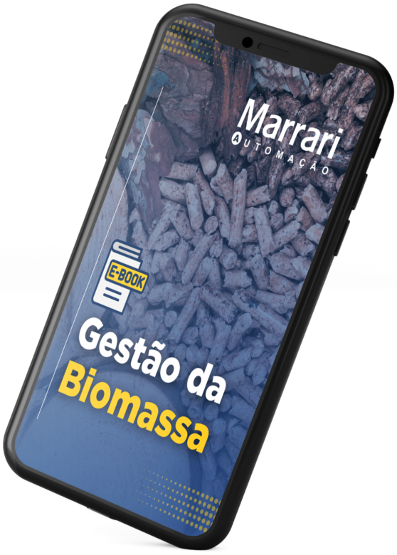 E-book Gestão da Biomassa Novo