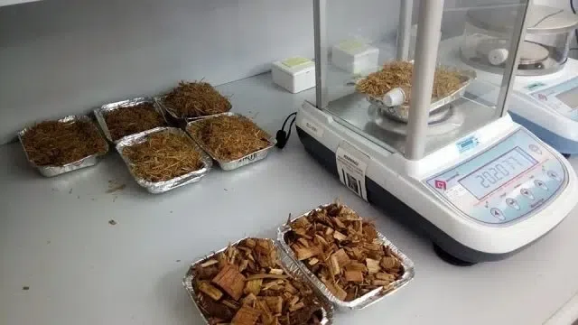 Balança de Alta Precisão de Laboratório com Biomassa / Cavaco de Madeira.
