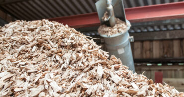 Biomassa papel dos biocombustíveis sólidos no Brasil