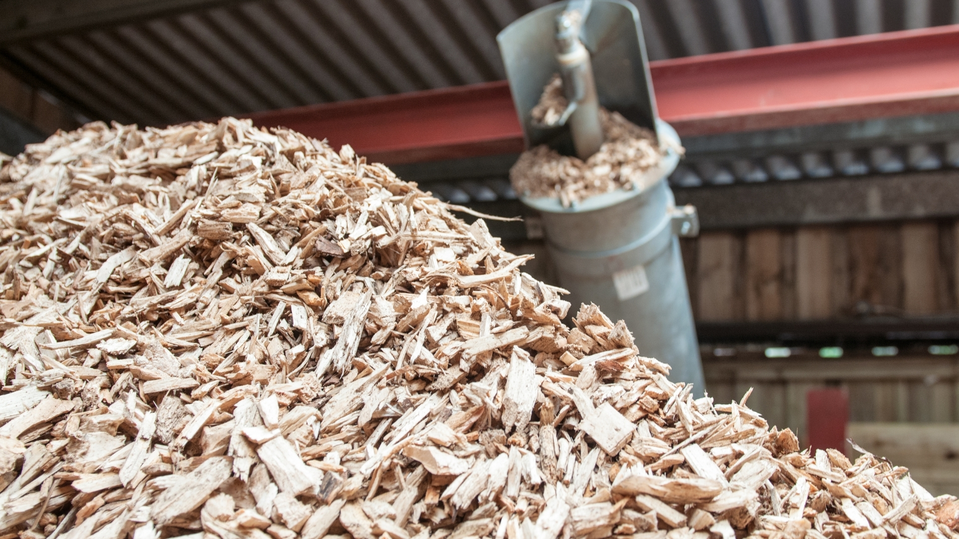 Biomassa papel dos biocombustíveis sólidos no Brasil
