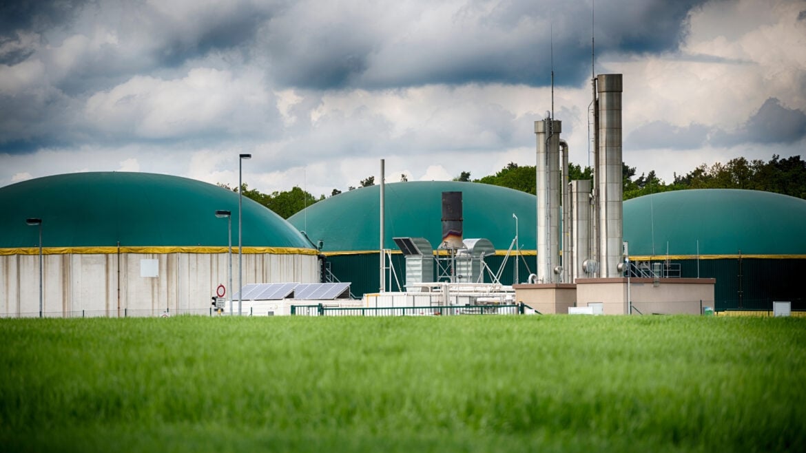 Biomassa: Quais são seus tipos? - Biocombustíveis líquidos e gases (Biofuels and biogas)