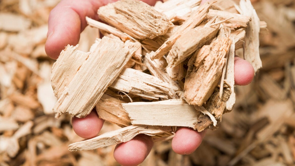 Biomassa: Quais são seus tipos? - Resíduos e subprodutos da indústria madeireira (Wood processing residues)