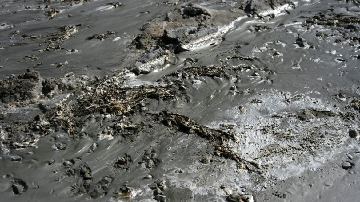 Biomassa: Quais são seus tipos? - Resíduos úmidos / lamas e esterco (Wet wastes)