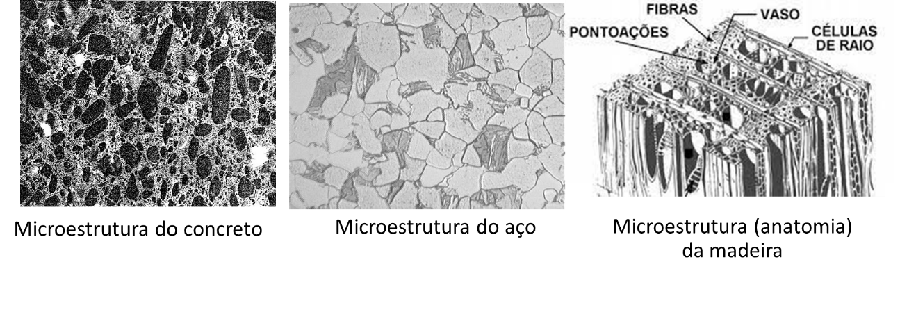 Homogeneous microstructure of concrete and steel compared with the heterogeneous anatomy of wood